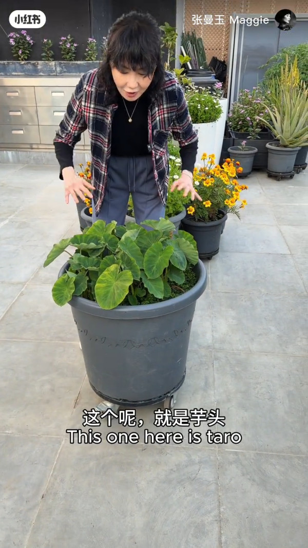 张曼玉香港4000万豪宅罕有曝光！顶层天台都过千呎！拥5伙物业最钟情这一区
