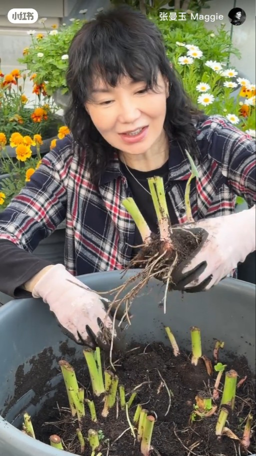 张曼玉香港4000万豪宅罕有曝光！顶层天台都过千呎！拥5伙物业最钟情这一区