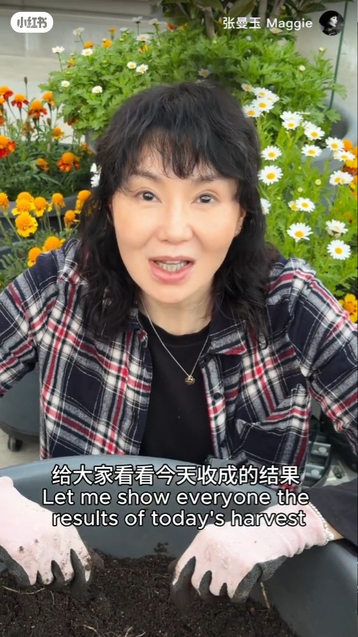 张曼玉香港4000万豪宅罕有曝光！顶层天台都过千呎！拥5伙物业最钟情这一区