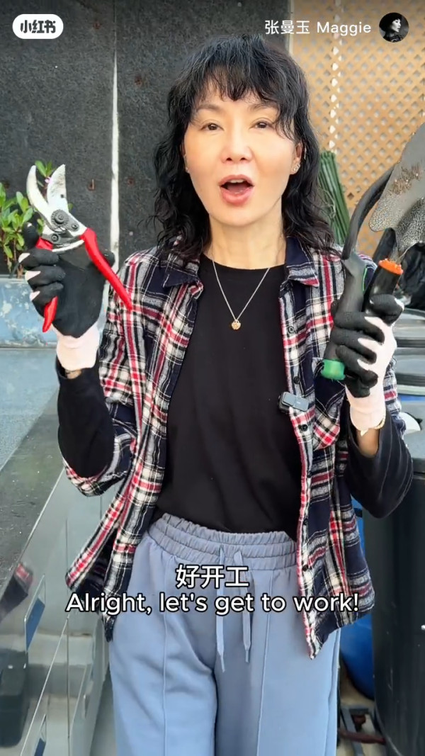 张曼玉香港4000万豪宅罕有曝光！顶层天台都过千呎！拥5伙物业最钟情这一区