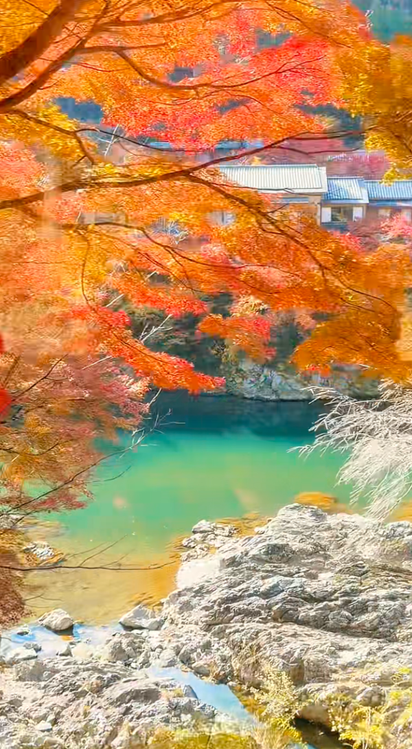 照片來源：小紅書@leafluoye羅小葉