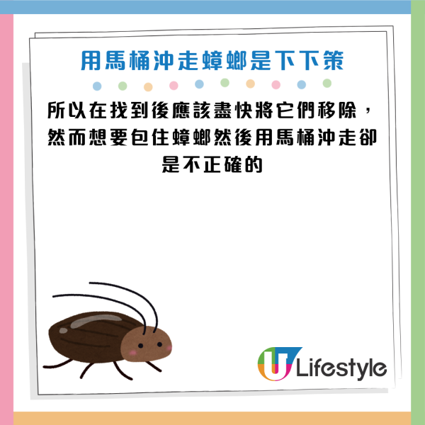 圖片資料來源：《grape》