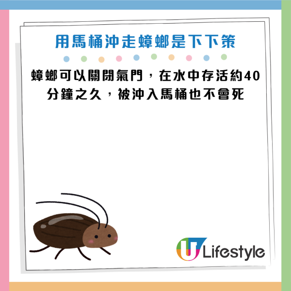 圖片資料來源：《grape》