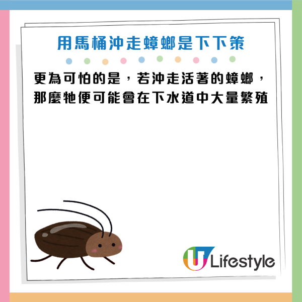 圖片資料來源：《grape》