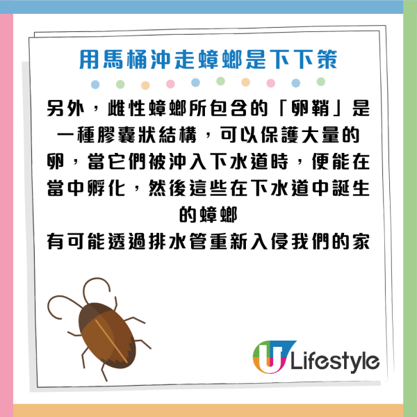 圖片資料來源：《grape》