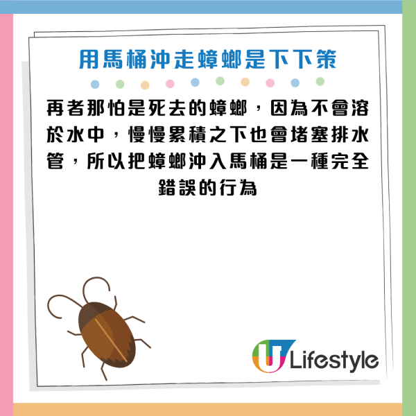 圖片資料來源：《grape》