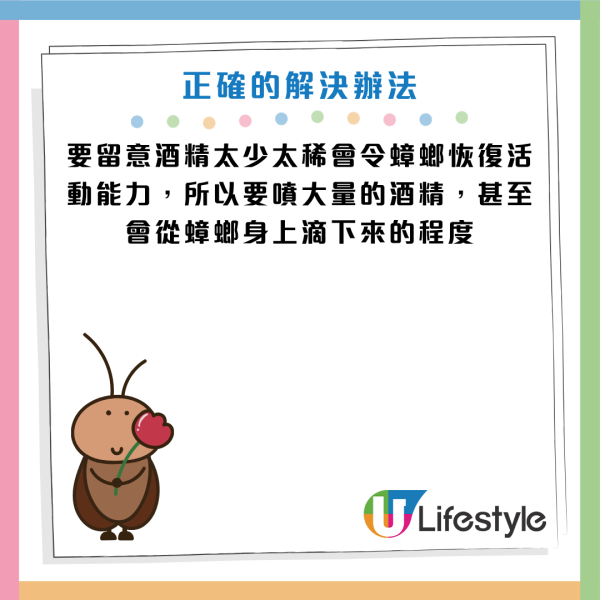 圖片資料來源：《grape》