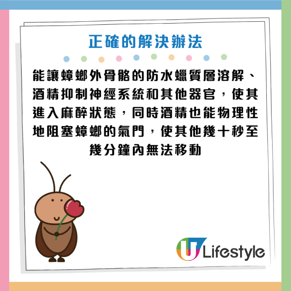 圖片資料來源：《grape》