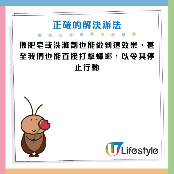 圖片資料來源：《grape》