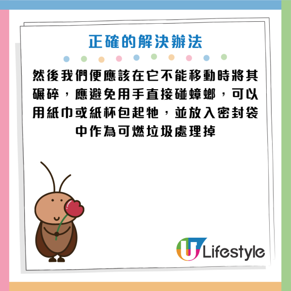 圖片資料來源：《grape》