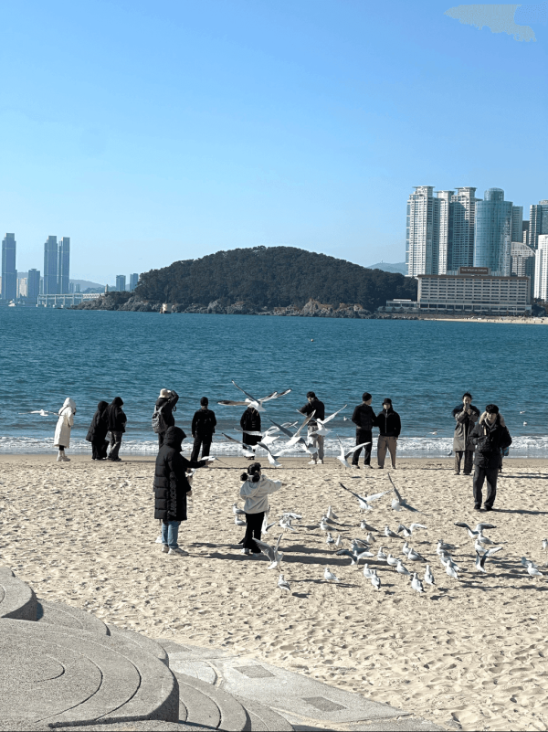 【一個人去邊好】最適合新手獨遊的10個地方 治安／必去景點／最佳旅遊佳節 