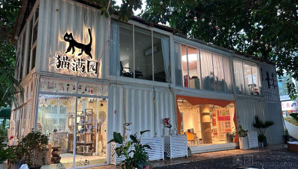 深圳貓Cafe5間人氣推介！K11海景吸貓、日系和服換裝、最平玩足一小時 