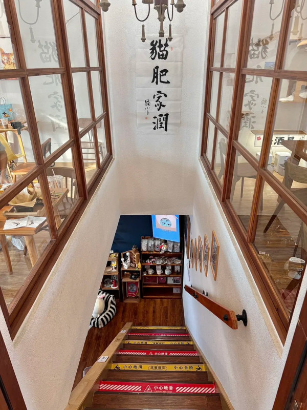 深圳貓Cafe5間人氣推介！K11海景吸貓、日系和服換裝、最平玩足一小時 