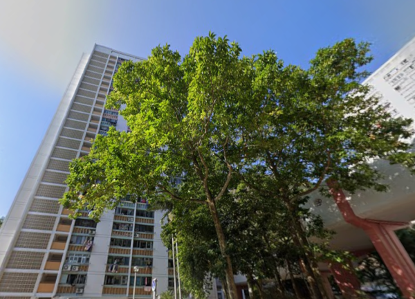 公屋首派中前墳場地！網民嫌舊轟豬頭骨 街坊反擊揭1大隱藏優點