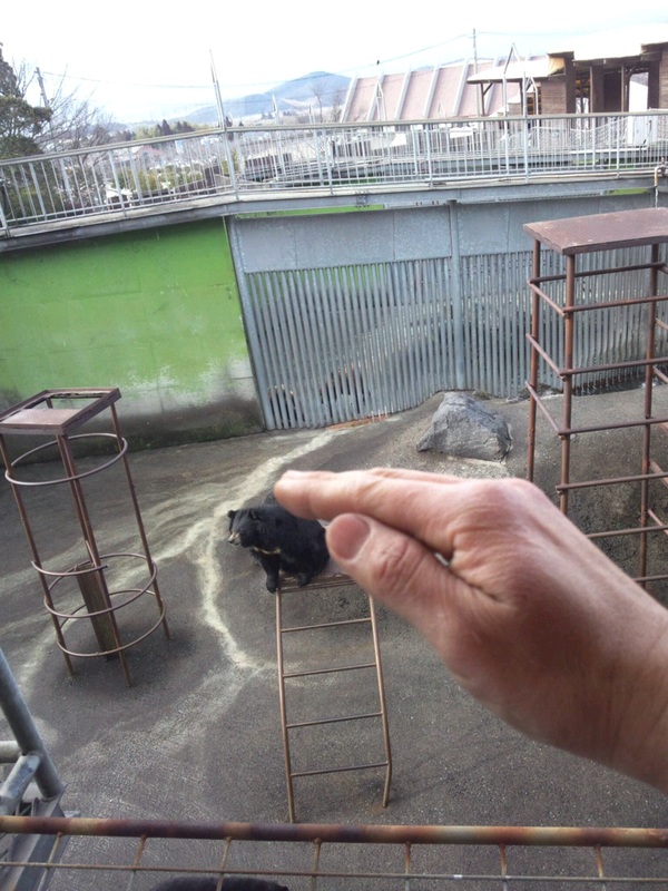 圖片來源：阿蘇卡德利樂園官網