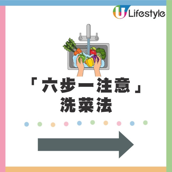 深圳6歲男童吃生菜包肉染鈎蟲 全身瘀青血腫需食驅蟲藥 營養師教「六步一注意」洗菜法 