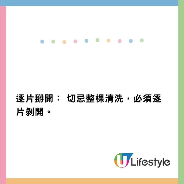 深圳6歲男童吃生菜包肉染鈎蟲 全身瘀青血腫需食驅蟲藥 營養師教「六步一注意」洗菜法 