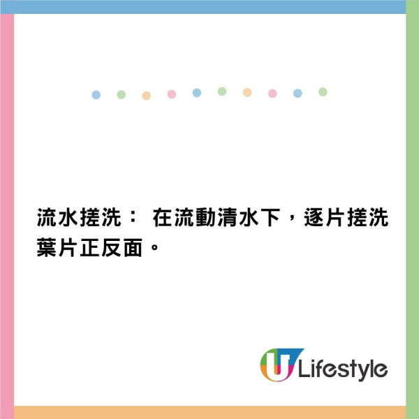 深圳6歲男童吃生菜包肉染鈎蟲 全身瘀青血腫需食驅蟲藥 營養師教「六步一注意」洗菜法 