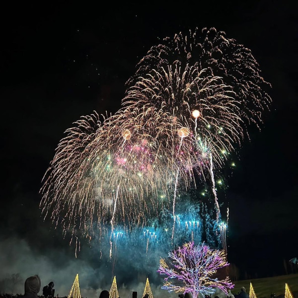 【夏日必去！】日本必睇10場花火大會 最新時間表／門票／交通懶人包 