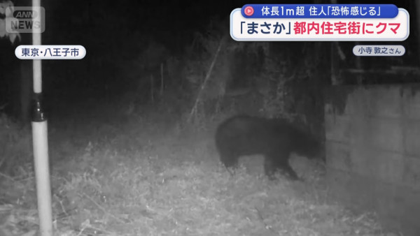 圖片來源：Ann news 