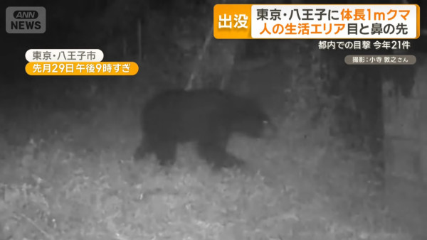 圖片來源：Ann news 