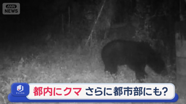 圖片來源：Ann news 