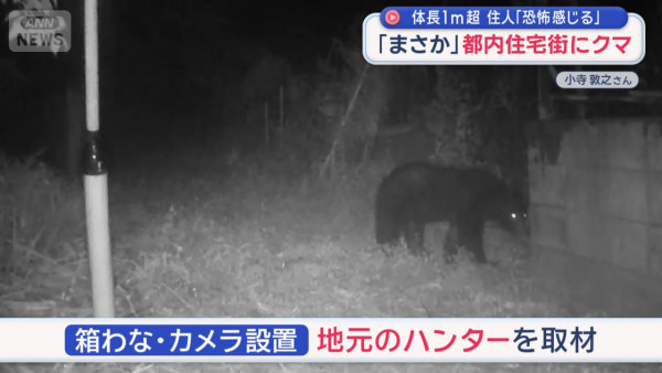 圖片來源：Ann news 