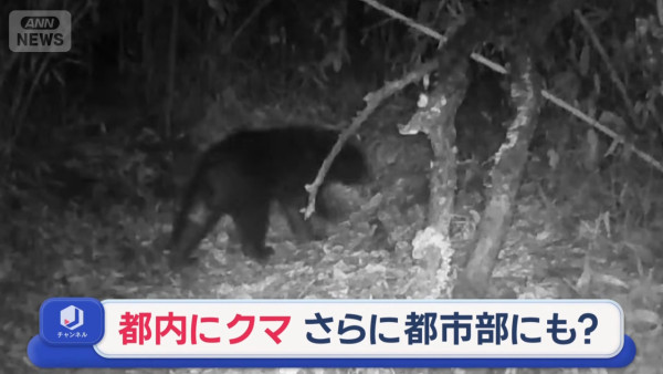 圖片來源：Ann news 