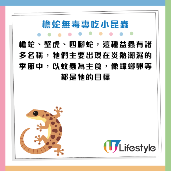 圖片資料來源：《滅牠滅蟲有限公司官方網站》、U Lifestyle