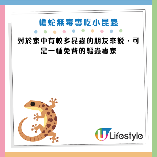 圖片資料來源：《滅牠滅蟲有限公司官方網站》、U Lifestyle