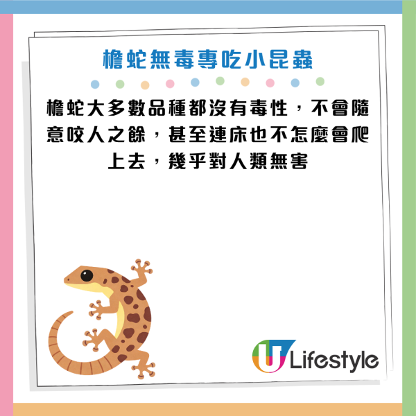 圖片資料來源：《滅牠滅蟲有限公司官方網站》、U Lifestyle