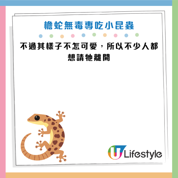 圖片資料來源：《滅牠滅蟲有限公司官方網站》、U Lifestyle