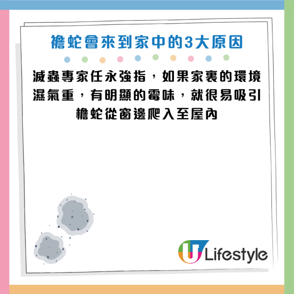 圖片資料來源：《滅牠滅蟲有限公司官方網站》、U Lifestyle