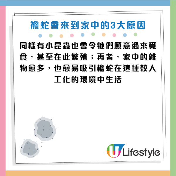 圖片資料來源：《滅牠滅蟲有限公司官方網站》、U Lifestyle