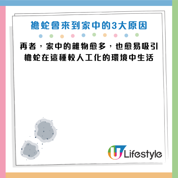 圖片資料來源：《滅牠滅蟲有限公司官方網站》、U Lifestyle