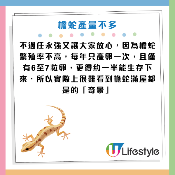 圖片資料來源：《滅牠滅蟲有限公司官方網站》、U Lifestyle