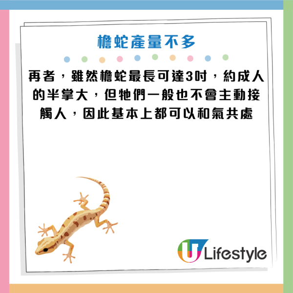 圖片資料來源：《滅牠滅蟲有限公司官方網站》、U Lifestyle