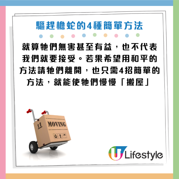 圖片資料來源：《滅牠滅蟲有限公司官方網站》、U Lifestyle