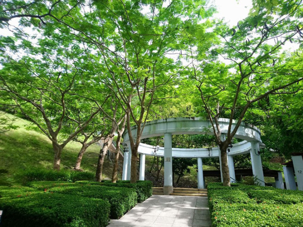 荃灣6大免費發呆基地！$0歎冷氣梳化 揭1隱藏體育館靜過圖書館