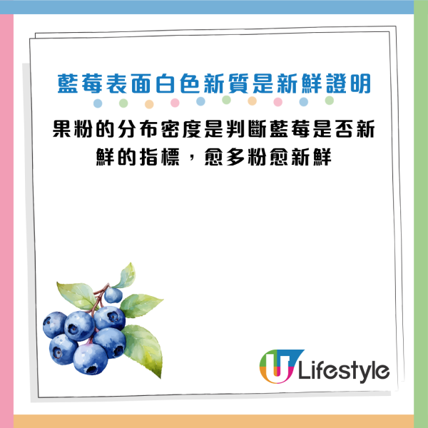 圖片資料來源：《南達科他州立大學》