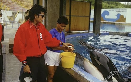 Michael Jackson曾游香港半个月？重温一代巨星访港足迹