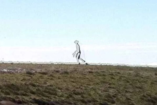 美國防解密4種外星人！飛彈都炸唔爆UFO 台灣「螳螂人」或屬同類？