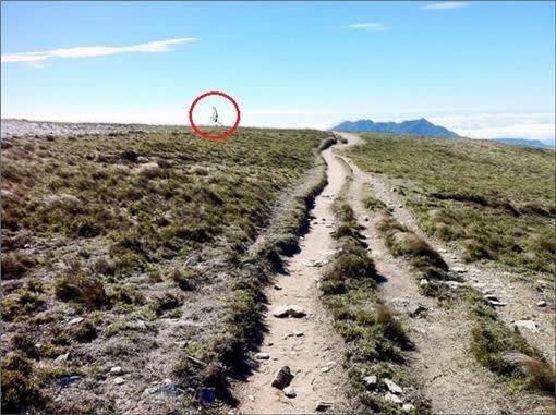 美國防解密4種外星人！飛彈都炸唔爆UFO 台灣「螳螂人」或屬同類？
