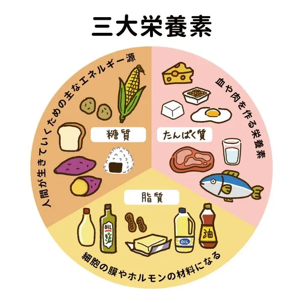 照片來源：HALMEK up