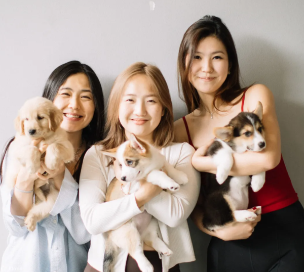 Wellness Travel｜去旅行都要Keep Fit！亞洲10大特色Pilates、瑜伽體驗推介 曼谷/峇里萌寵瑜伽、新加坡瀑布打卡 