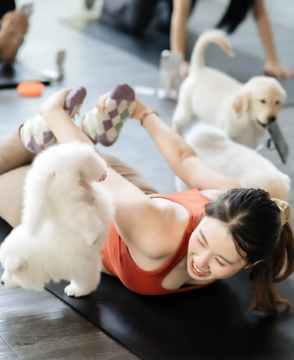 Wellness Travel｜去旅行都要Keep Fit！亞洲10大特色Pilates、瑜伽體驗推介 曼谷/峇里萌寵瑜伽、新加坡瀑布打卡 