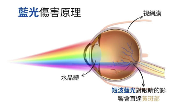 辦公救星定心理安慰？網傳「一物」可中和螢幕藍光  專家：真正傷眼元兇睇2樣【即睇原理】
