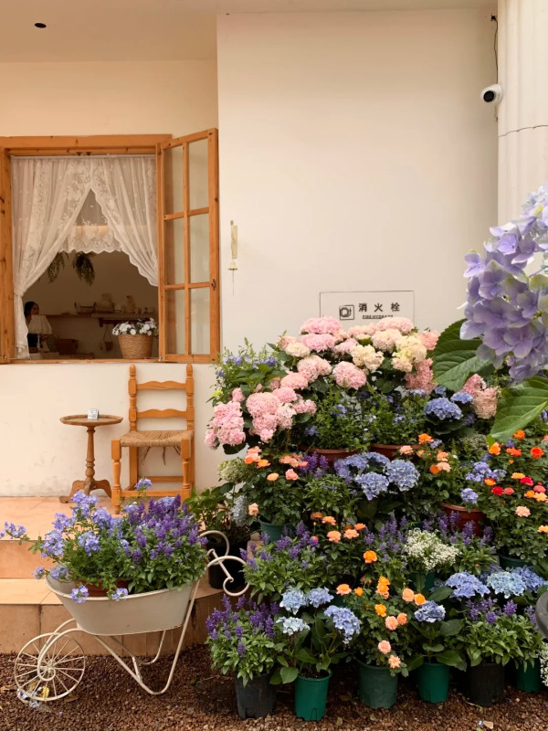 深圳福田繡球花主題Cafe推薦！夏日限定3大必影打卡位、必試花生拿鐵人均35元起 
