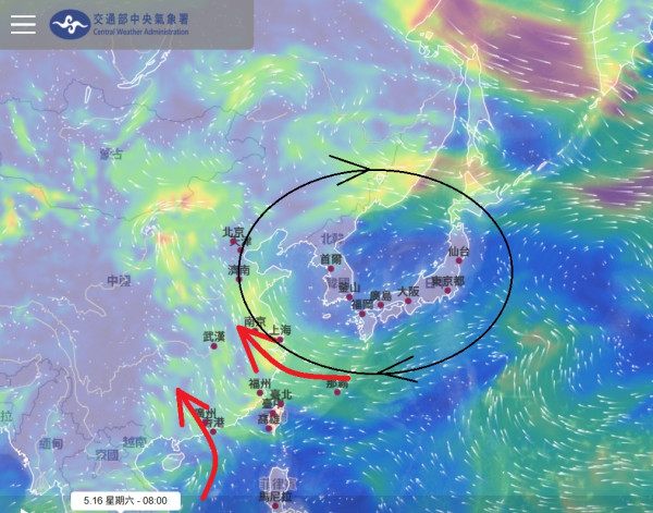 AI預測下周打風?超罕見「反氣旋」發威 專家警告1地恐持續降雨爆災害