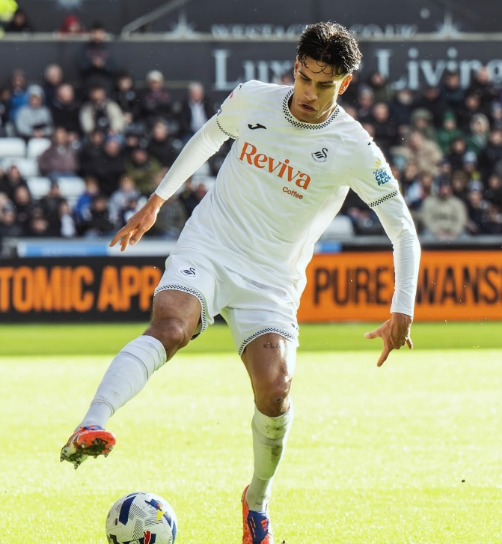 Marko Stamenić（圖片來源︰IG@nzallwhites、IG@swansofficial）